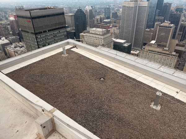 Édifice René-Lévesque - Photo 1